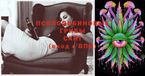 соль ск Лиски