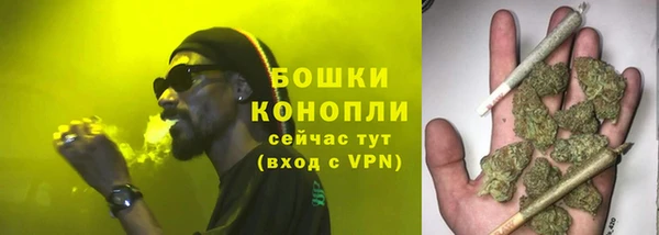 гидра Лихославль
