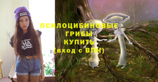 гидра Лихославль