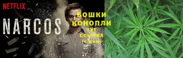 кокс Липки