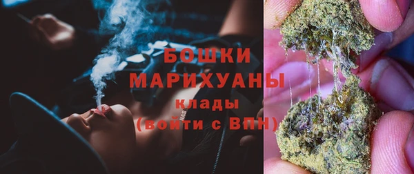 гидра Лихославль