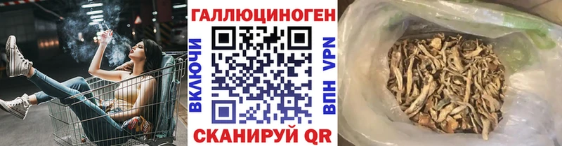 Галлюциногенные грибы Cubensis  наркошоп  Чернушка 