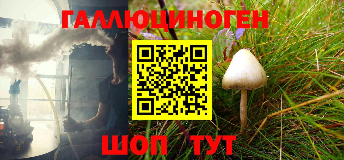Псилоцибиновые грибы Cubensis Чернушка
