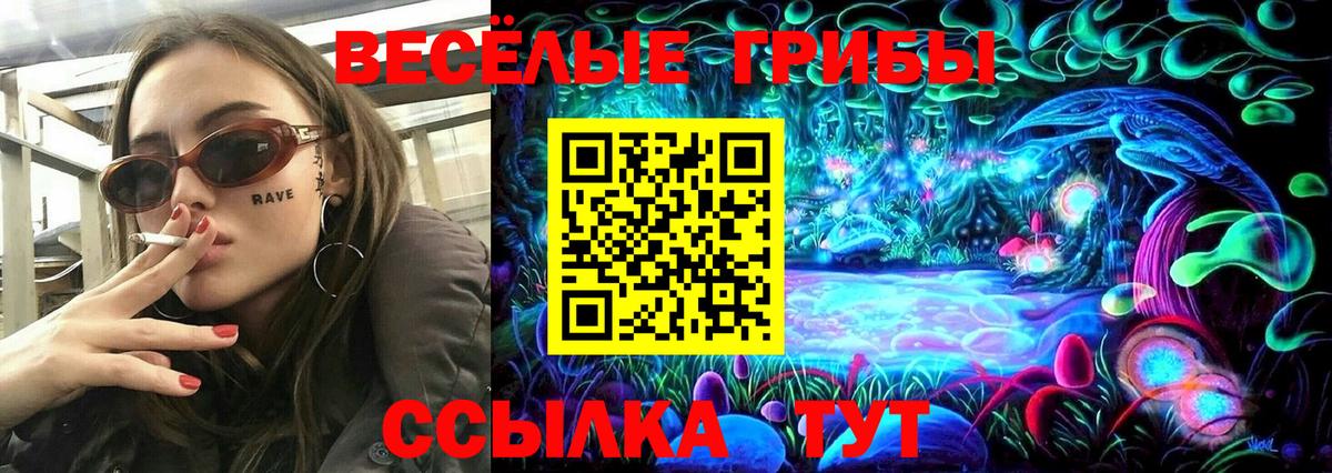 Псилоцибиновые грибы мицелий  Вход с VPN  Чернушка 