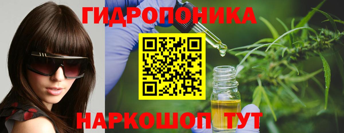 Конопля MAZAR Чернушка